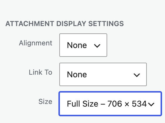 Image Size